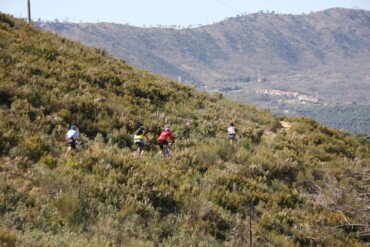 Autofinanziamento di Alta Sq.