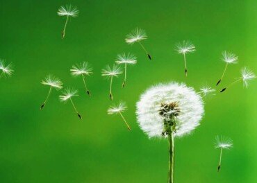 Riunione Genitori di Inizio Attività