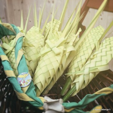 Palmette di Autofinanziamento